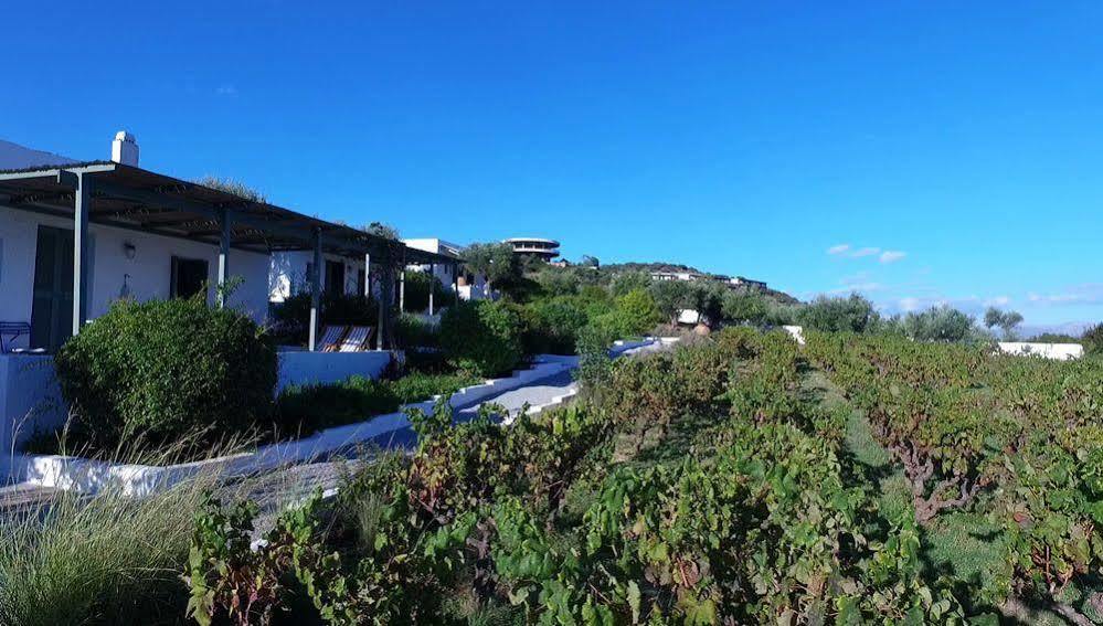 Niriides Villas Selinitsa Eksteriør bilde